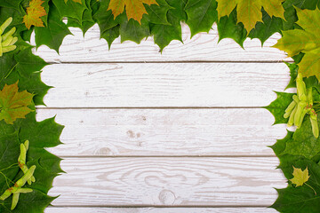 Wall Mural - Autumn background, a frame of multicolored maple leaves on a light wooden background. copy space