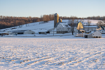 Wall Mural - Amish farm in the winter at the base of a snowy hill with an empty field in front on a clear sunny day in Holmes County, Ohio