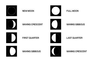 Wall Mural - moon phases scheme sphere shadow cycle astronomy icon set. vector illustration background