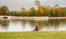 Woman Sitting By A Lake In The Fall. Jacket The Ground Next To Her. A Pedestrian Bridge To Her Left And Colorful Fall Trees With Leaves Of Red, Yellow, Orange And Green Across The Lake. Egret On Lake.