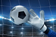 © fotokitas - Soccer goalkeeper catches ball in the stadium