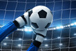 © fotokitas - Soccer goalkeeper catches ball in the stadium