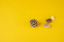 Still Life With Pinecone, Stones And Plain Yellow Background
