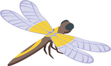 Fashion Dragonfly Icon Isometric Vector. Wing Insect. Summer Bug