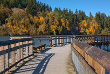 Beautiful Boardwalk At Billy Frank Jr. Nisqually National Wildlife Refuge In Autumn In Olympia, WA
