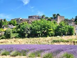 Fototapeta  - Lavandes en Provence, Luberon