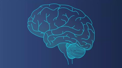 Brain scan concept, animated video in 4k. brain research. The gradual development of a linear image on a dark background. Motion design template