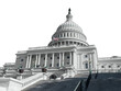 © trekandphoto - United States Capitol building isolated.