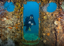Diver Exploring The Wreck Of The Sattakut Close To Koh Tao