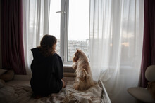 A Girl And A Dog On A Large Bed In The Room Look Out The Window