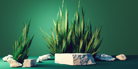 Poster - snake plant with white stone podiums - 3d render