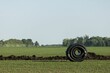 Drainage tubing in the field