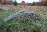 Fototapeta Kamienie - Duży, szary kamień na łące