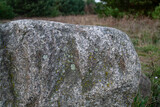 Fototapeta Desenie - Duży, szary kamień na łące