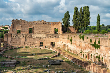 Wall Mural - Ruins of Roman Forum in Rome, Italy