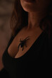 © Dina - A plastic fake spider on a woman's chest on halloween party as a part of festive costume