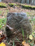 Fototapeta Desenie - Kamień w lesie