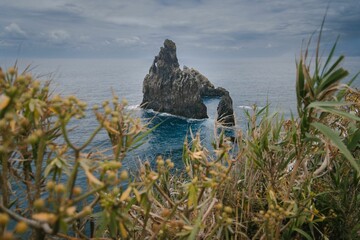 Sticker - Scenic view of a huge rock in the ocean with coastline plants on the Island of Madeir