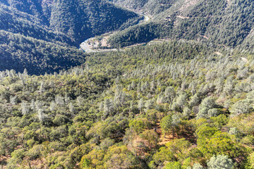 Canvas Print - autumn in the mountains