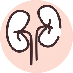 Sticker - Human organ kidney, icon, vector on white background.