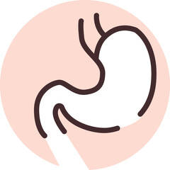 Wall Mural - Human organ stomach, icon, vector on white background.