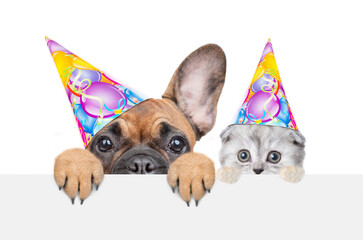 Wall Mural - French bulldog puppy and tiny kitten wearing party caps looks above empty white banner. Isolated on white background