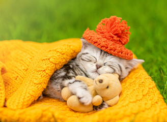 Aufkleber - Cute kitten wearing warm hat hugs favorite toy bear and sleeps on plaid on green summer grass