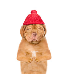 Poster - Unhappy frozen puppy with eye closed wearing a warm winter hat with pompon. isolated on white background