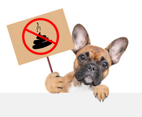 Aufkleber - French bulldog puppy holds sign 