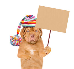 Poster - Unhappy frozen puppy wearing a warm winter hat with pompon shows empty placard. isolated on white background