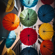 Colorful Umbrellas 