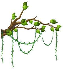 Sticker - Tree branch with liana isolated