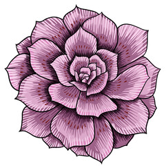 Wall Mural - Hand drawn illustration object of blooming flowers.