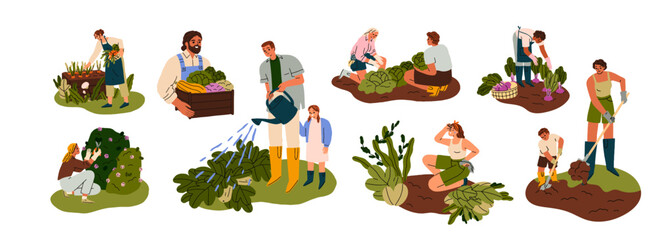 Farmers, gardeners during farm, garden works set. People, kid, agriculture workers care about plant, crop, picking vegetable at backyard. Flat graphic vector illustrations isolated on white background