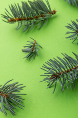 Wall Mural - Pattern of green spruce branches on a green background. christmas background