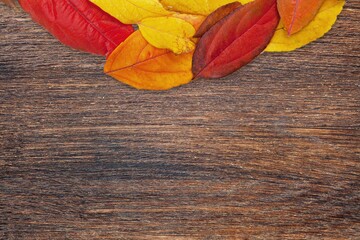 Poster - Autumn dry fall leaves on the desk