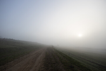 Wall Mural - Countryside in the morning with fog or mist