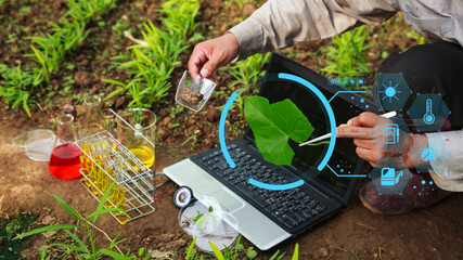 Farmer researching growth of plant in greenhouse. AOT Increase agricultural productivity concept.