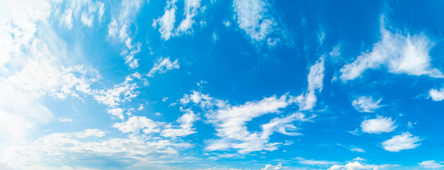 Wall Mural - Background with blue sky and white clouds. Narrow panorama.