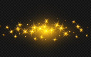 Wall Mural - the dust sparks and golden stars shine with special light. vector sparkles on a transparent backgrou