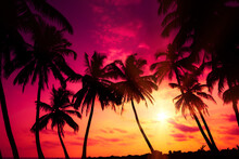 Colorful Pink Sunset On Tropical Ocean Beach With Coconut Palm Trees Silhouettes And Shining Sun