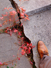 Foot Of Man Walking On Cracked And Broken Concrete Sidewalk With Fall Leaves