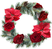 Christmas Wreath Isolated On A Transparent Background. Red Poinsettia, Pine And Roses Png.