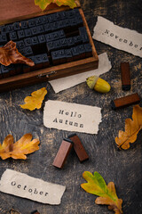 Wall Mural - Autumn background with dry leaves.