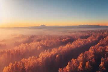 Wall Mural - early morning sunrise foggy forrest, treetips standing out of fog autumn fall foggy fall sunrise drone shot