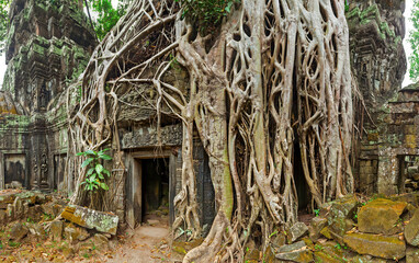 Fototapete - Panorama of ancient stone door and tree roots, Ta Prohm temple ruins, Angkor, Cambodia