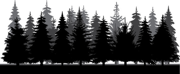 Wall Mural - forest, fir trees silhouette design isolated vector