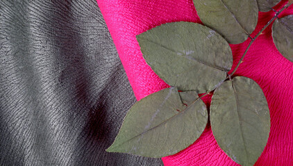 Wall Mural - close-up of a dried leaf on fabric background