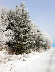 Sticker - Snowy road rolled by skis