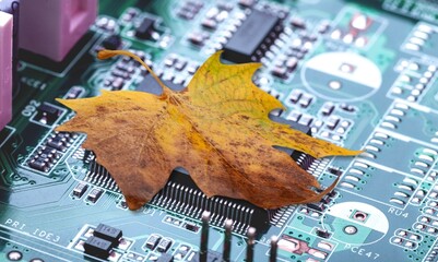 Poster - Dry leaf on pc circuit board. Computer Technology